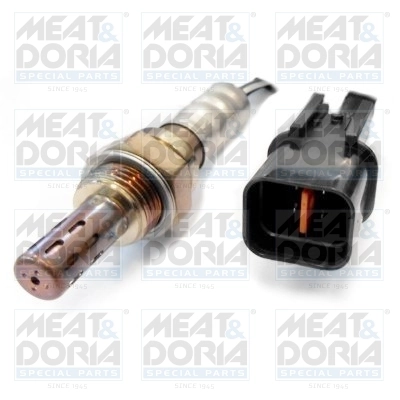 Oxygen Sensor